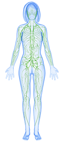 7 Ways to Improve Lymphatic Health in Uptown Dallas